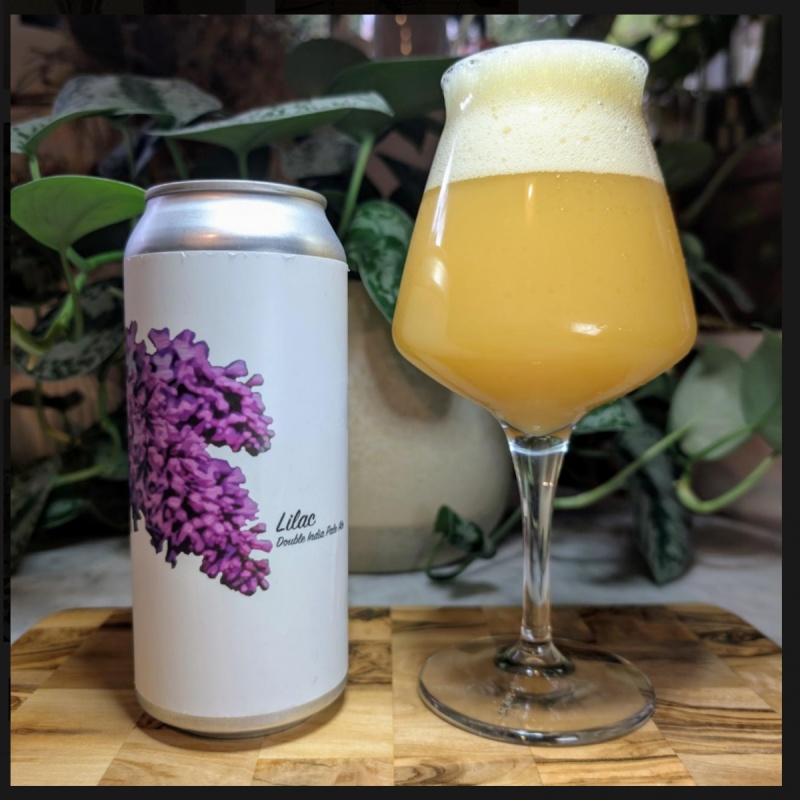 Fidens -- Lilac -- March 20th