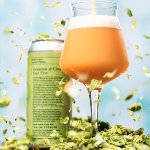 ***1 Can Tree House Evolution of Citra Part 5***
