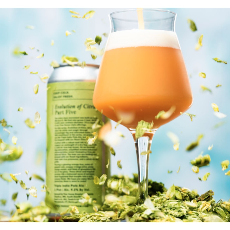 ***1 Can Tree House Evolution of Citra Part 5***