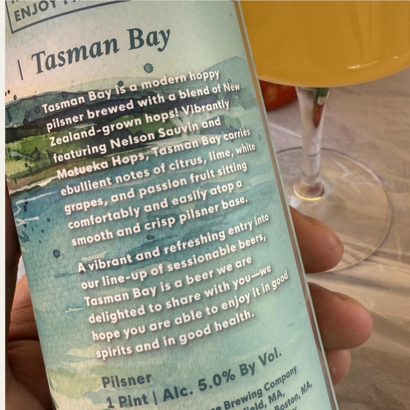 Tree House -- Tasman Bay -- April 2025