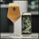 Tree House -- Evolution of Citra Part Six -- April 30th