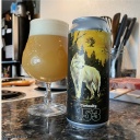 Tree House -- Curiosity 153 -- May 8th