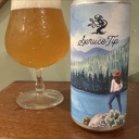 Tree House -- Spruce Tip -- May 13th