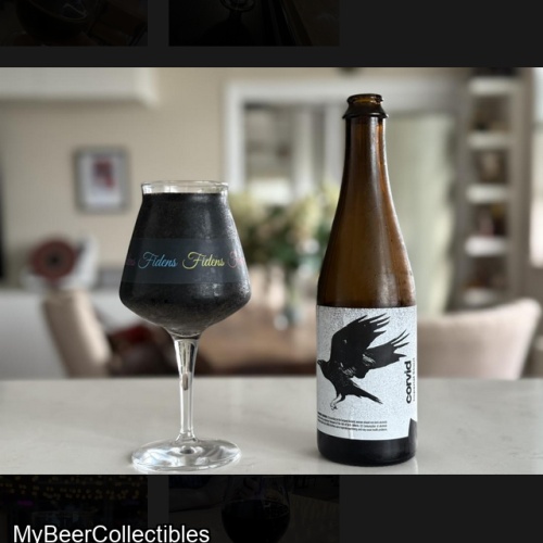 Fidens -- Corvid -- May 2025