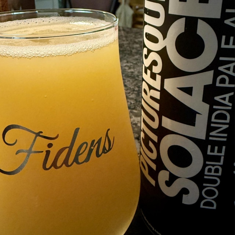 Fidens -- Picturesque Solace -- May 30th