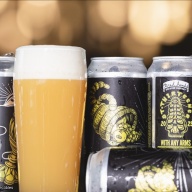 Tired Hands -- With Any Arms QUAD -- June 11th