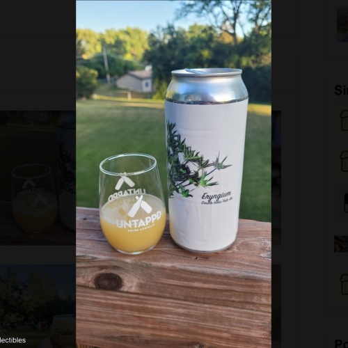 Fidens -- Eryngium DIPA -- NEW FLOWER BEER -- June 26th