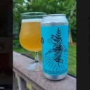 Tree House -- Curiosity Eighteen -- July 3rd