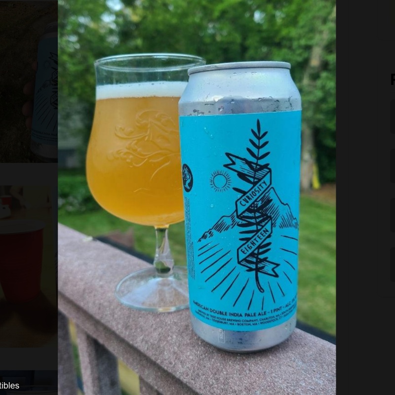 Tree House -- Curiosity Eighteen -- July 3rd