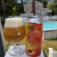 Tree House -- Really Big Peach -- July 18th