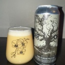 Fidens -- A Murder of Crows -- July 22nd 2025