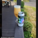 Fidens -- Triple Vibrant Beauty -- Aug 27th