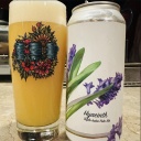 Fidens -- Hyacinth [10% Hazy TIPA] -- Sept 9th 2025