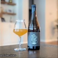 Freak Folk -- Signet: Gin (2024)