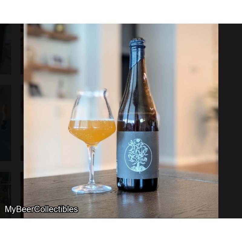 Freak Folk -- Signet: Gin (2024)