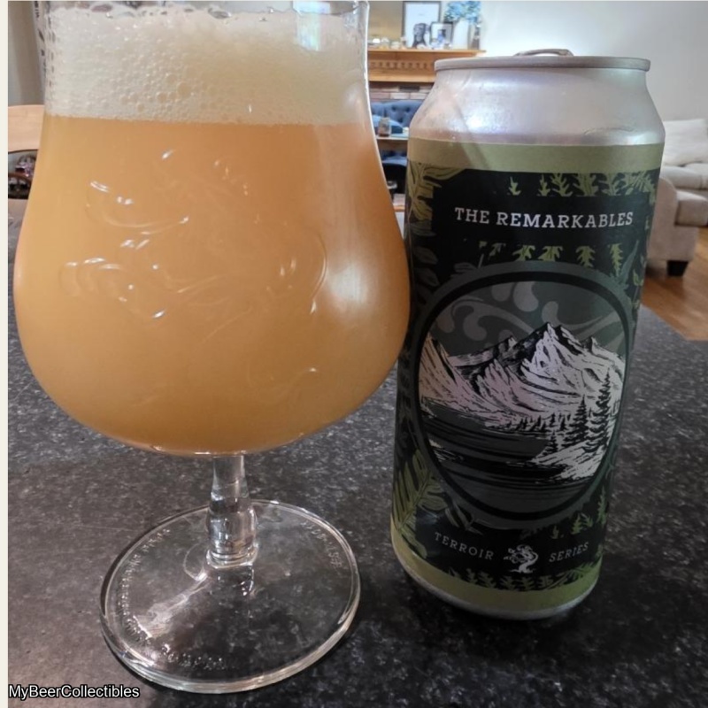 Tree House -- The Remarkables -- Sept 26th