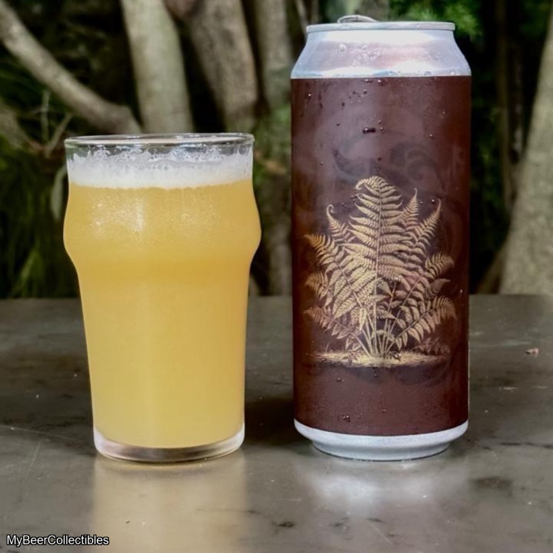 Tree House -- King Fern -- Nov 18th