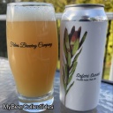 Fidens -- Safari Sunset -- Nov 12th