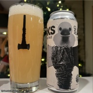 Fidens + Vitamin Sea -- Ducks and Axes -- Nov 24th