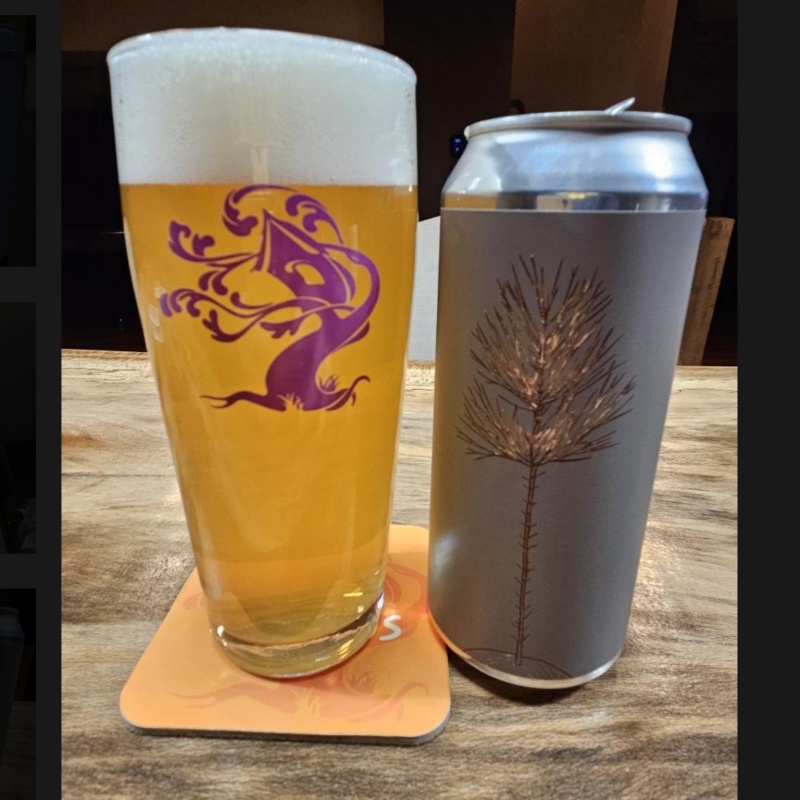 Tree House - Seedling: Whole Cone [Dry Hopped Lager] -- Nov 2025