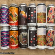 12 Pack Evil Twin NYC Excellent Fruited Sours + Leaf Me Alone TIPA