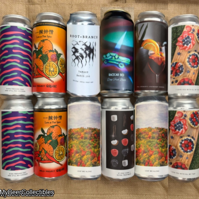 12 Pack Deep Fried Race Care Root Branch Damage + Evil Twin NYC Excellent Fruited Sours