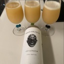 Root + Branch -- Infiltrator [6.5% NZ Hop Single IPA] -- Dec 15th