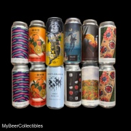 Bargain Fun 12 Pack w/Newest TEST +  Thai IPA + Root Branch + Evil Twin NYC Excellent Fruited Sours