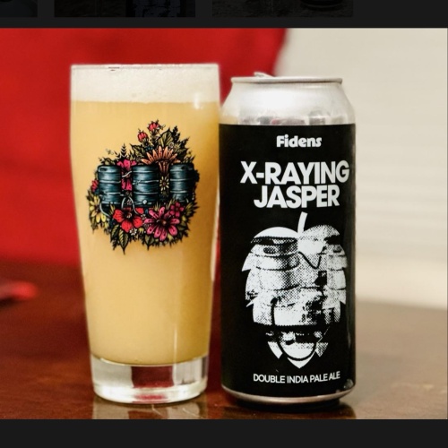Fidens + North Park -- X-Raying Jasper -- Jan 1st