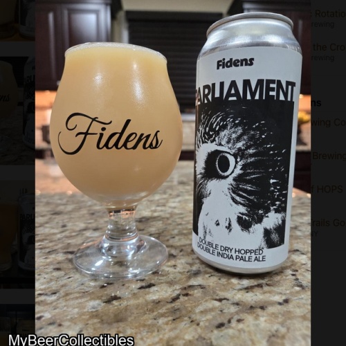 Fidens + Troon -- Parliament [8.8% DDH DIPA w. Citra Nelson Riwaka Hops] -- March 5th