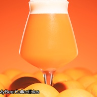 ***1 Can Tree House Orange You Glad***