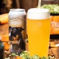 Tree House -- Hopsy Pilsner -- Feb 25th 2026