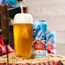 Tree House -- Ice Cold -- March 10th 2026