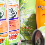 Tree House -- Shiny  -- March 18th