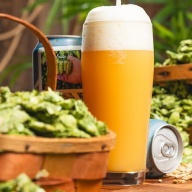 Tree House -- Motueka All Ways -- Mar 27th