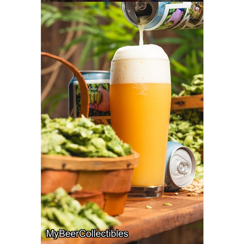 Tree House -- Motueka All Ways -- Mar 27th