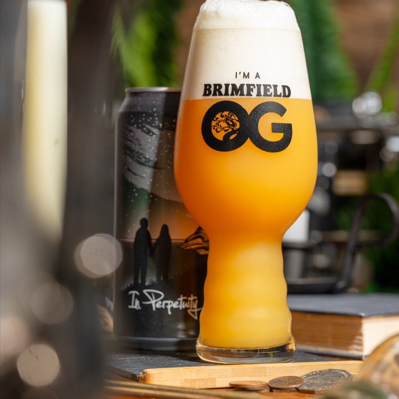 Tree House -- In Perpetuity -- April 15th