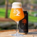 Tree House -- The Resolution [TIPA w. Liquid Hop Products] -- August 22nd