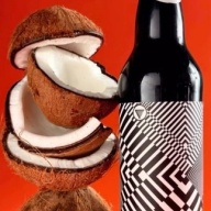 HOMES Doozie Coconut 2026