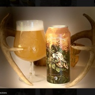 Tree House -- Criosity One Hundred Sixty (C-160) -- April 17th