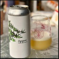 Fidens -- Eryngium DIPA -- April 15th