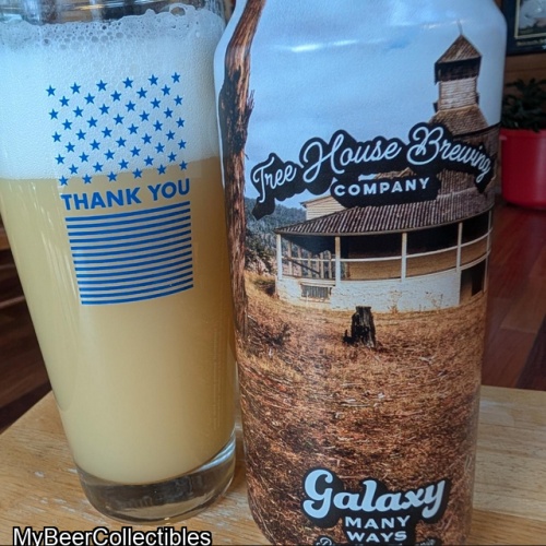 Tree House -- Galaxy Many Ways Part One - Tasmania -- Apr 30th