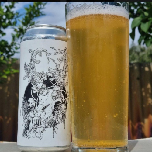 Freak Folk -- Pronghorn [German Helles] -- May 20th