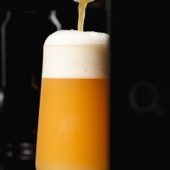 Tree House -- The Mystery TIPA -- June 10th