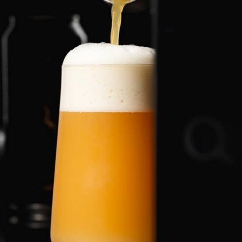 Tree House -- The Mystery TIPA -- June 10th