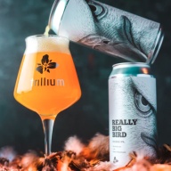 ***1 Can Trillium REALLY Big Bird***