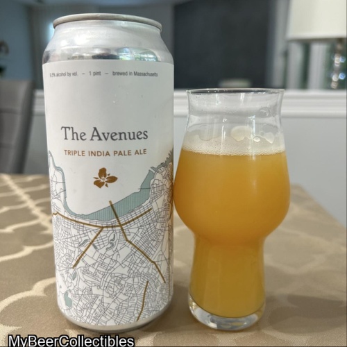 Trillium -- The Avenues TIPA -- June 2026