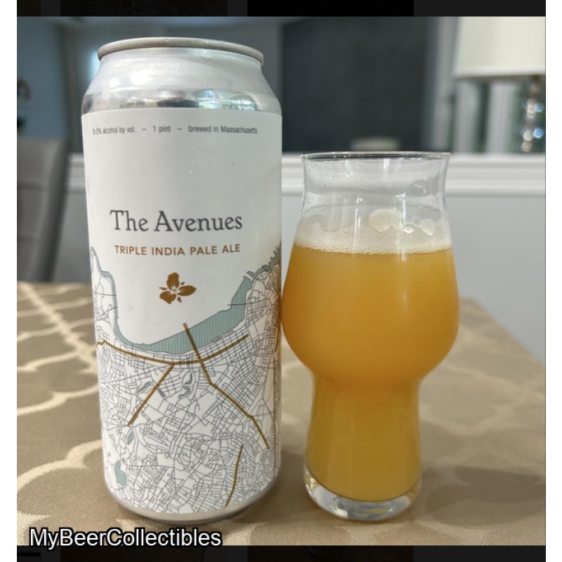 Trillium -- The Avenues TIPA -- June 2026
