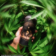 ***1 Can Tree House Insane in the Hop Brain***