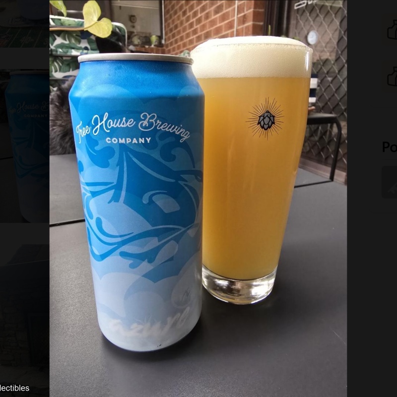 Tree House -- Azure -- June 17th